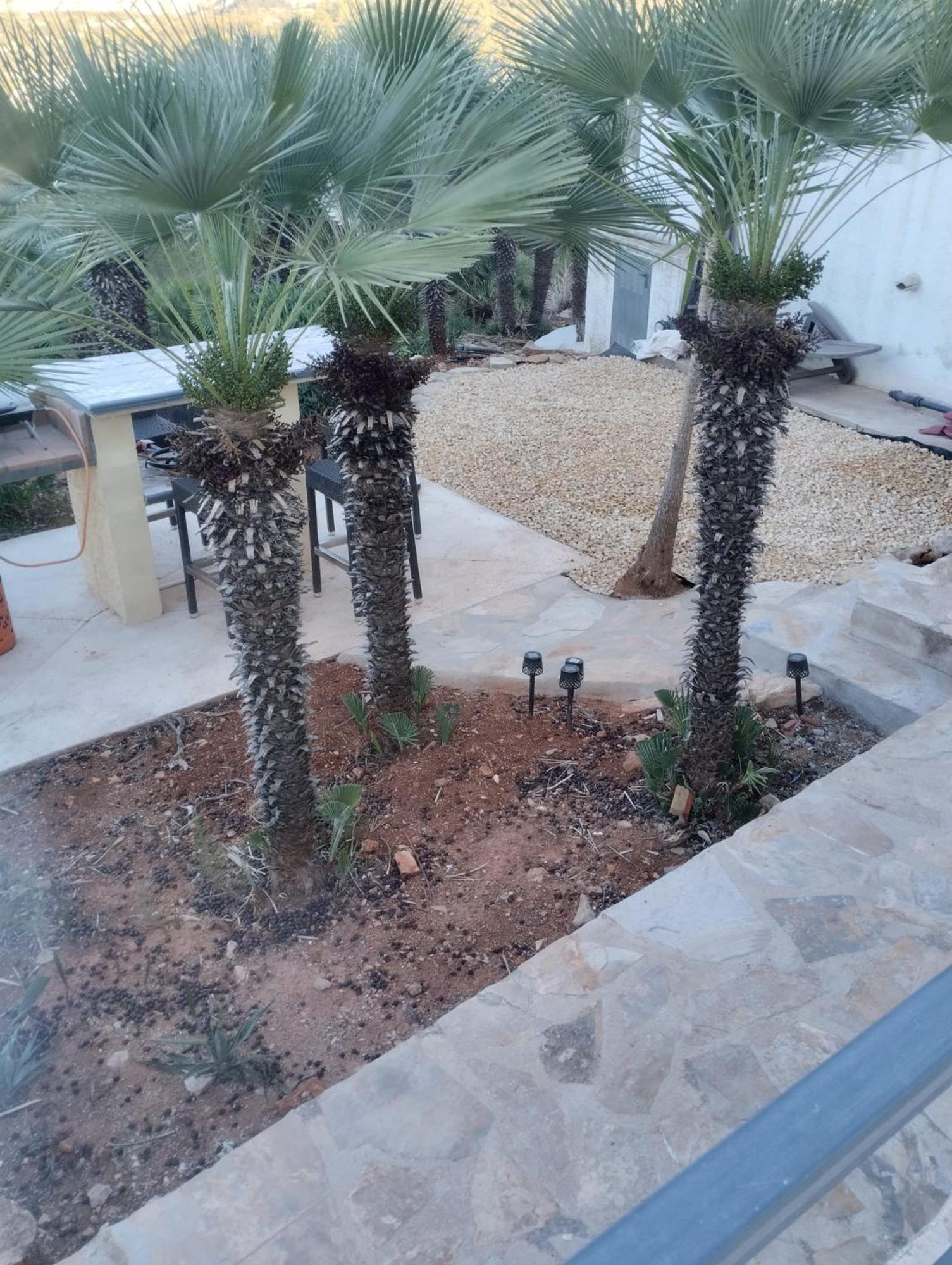 Luxe Appartement Met Tuin Benidoleig المظهر الخارجي الصورة