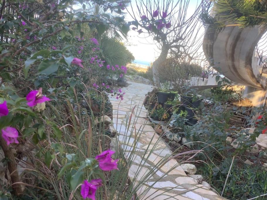 Luxe Appartement Met Tuin Benidoleig المظهر الخارجي الصورة